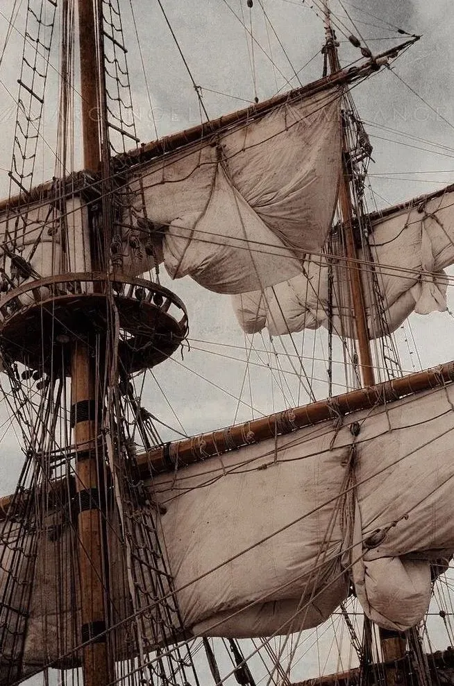 Pirate's world primary image