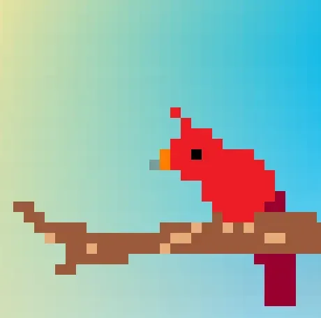 birds primary image