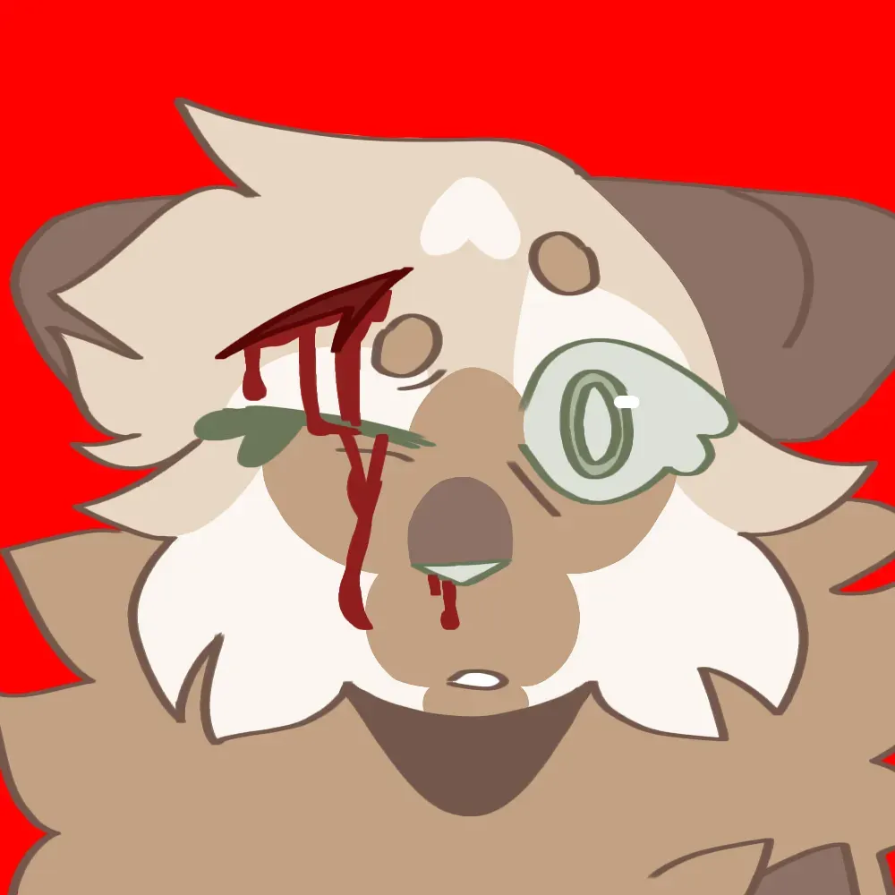Warrior cats primary image