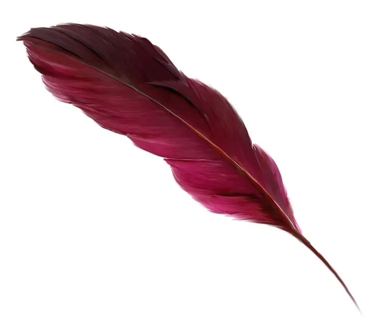 Fantasy Feathers primary image