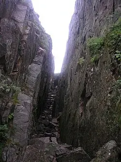 RidgeClan primary image
