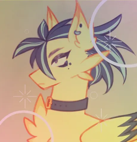 MLP primary image