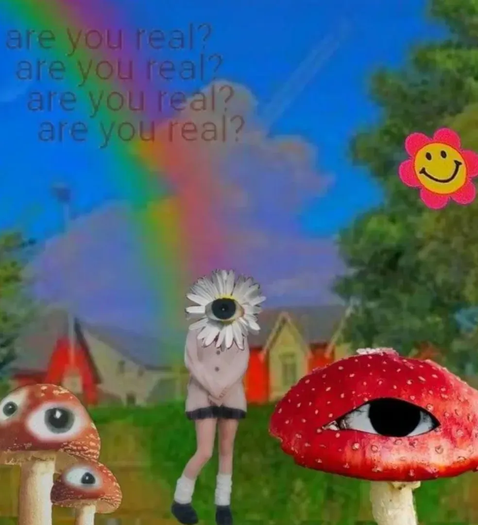 Weircore/dreamcore verse primary image
