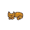 cats primary image