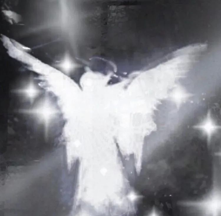 Angels. primary image