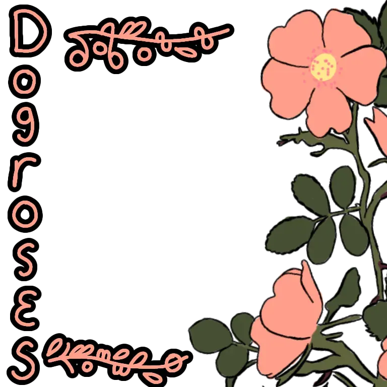 Dogrose primary image