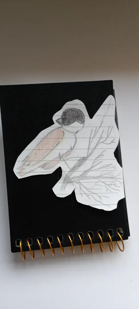 Birdie Birds primary image