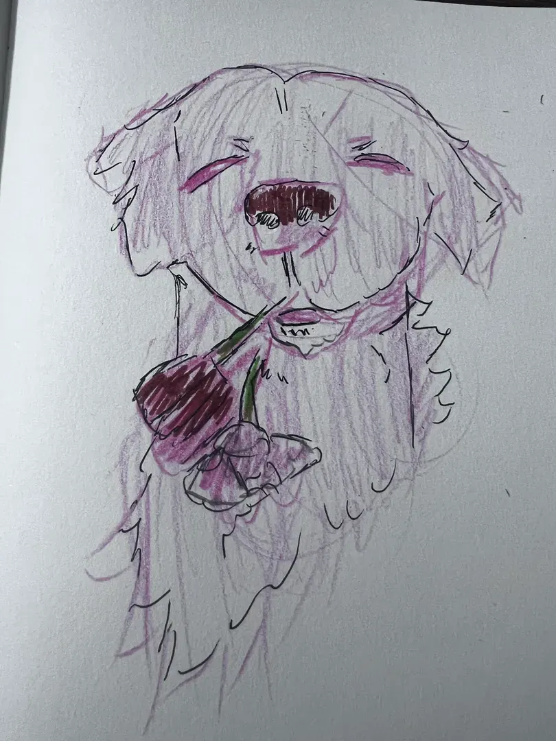 dogo primary image