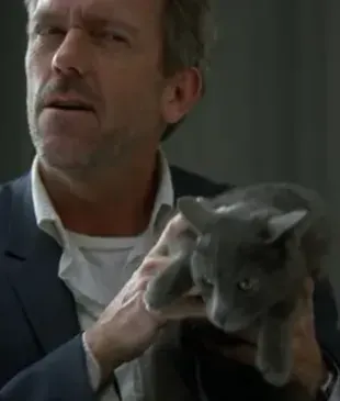 Cats primary image