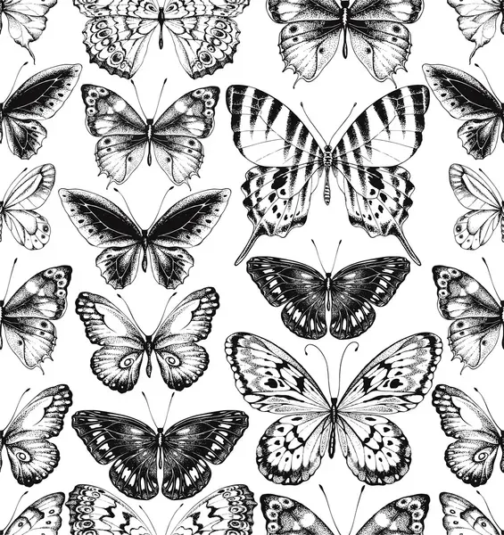 🦋ALNST: THE CONS primary image