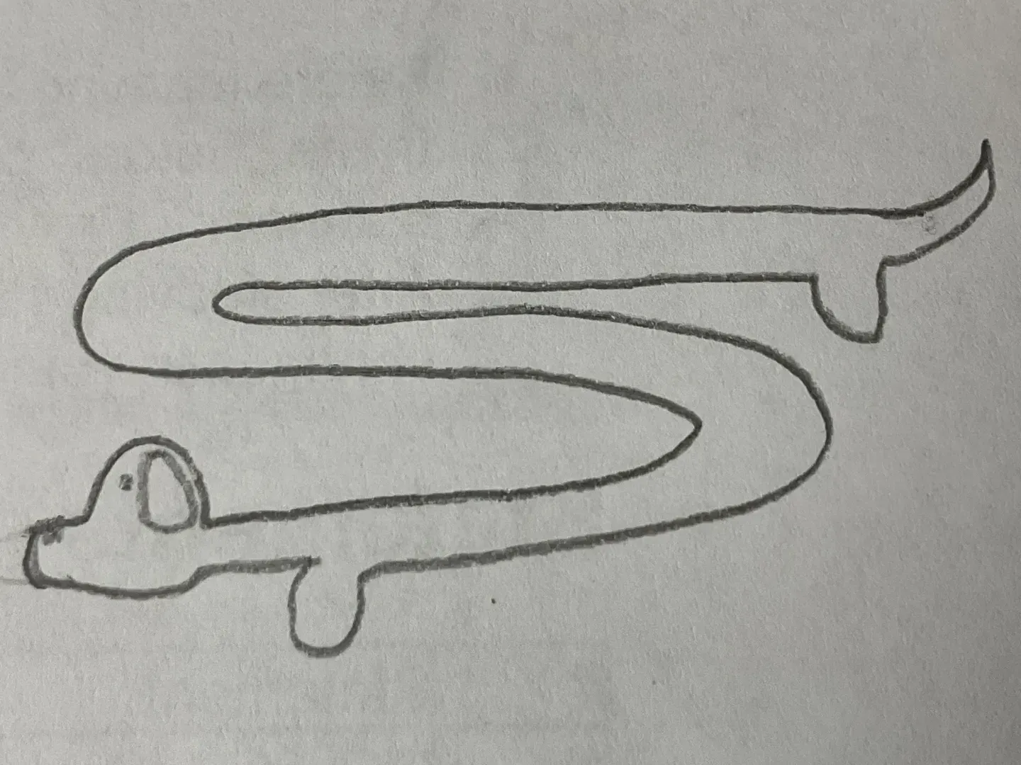 Doges primary image