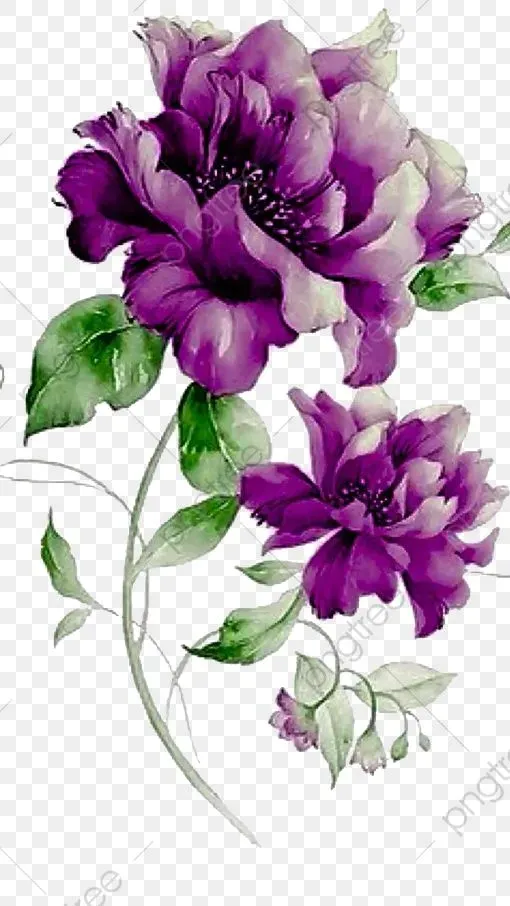 Third Year Anniversary Contest!! May 1st - June 3rd primary image