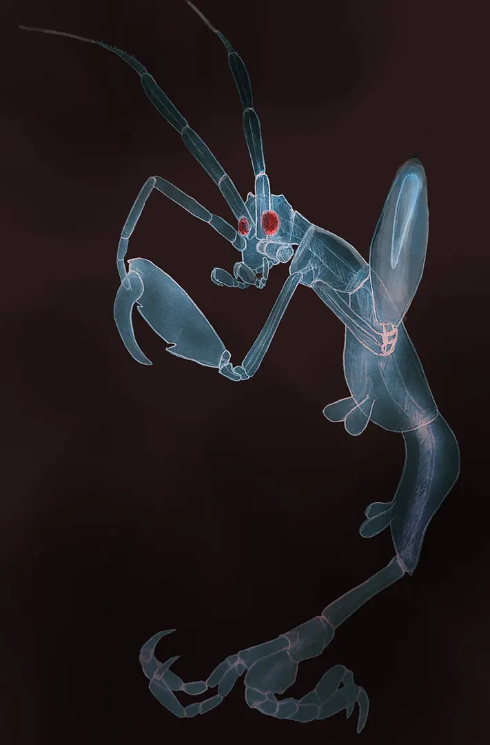 Unvale Daily Doodles primary image
