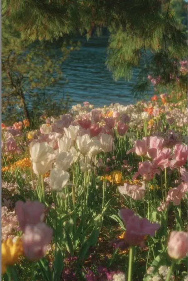 Fey Kingdom primary image