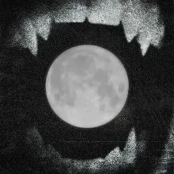 Love of The Night primary image